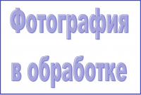 Щетка для обуви ФАУСТ 17,5*4*4см бук SV3188 SVIP от интернет-магазина santehnicplus.ru 